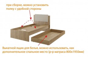 Дуглас (подростковая) М14 Кровать в Южноуральске - yuzhnouralsk.mebel-74.com | фото