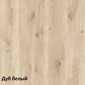 Эйп Шкаф для одежды 13.334 в Южноуральске - yuzhnouralsk.mebel-74.com | фото