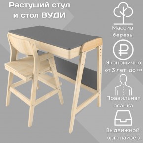 Комплект растущий стол и стул 38 попугаев «Вуди» (Серый, Без покрытия) в Южноуральске - yuzhnouralsk.mebel-74.com | фото
