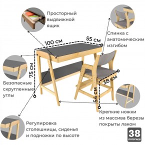 Комплект растущий стол и стул с чехлом 38 попугаев «Вуди» (Серый, Береза, Серый) в Южноуральске - yuzhnouralsk.mebel-74.com | фото