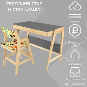 Комплект растущий стол и стул с чехлом 38 попугаев «Вуди» (Серый, Без покрытия, Монстры) в Южноуральске - yuzhnouralsk.mebel-74.com | фото