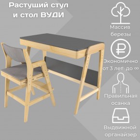 Комплект растущий стол и стул с чехлом 38 попугаев «Вуди» (Серый, Без покрытия, Серый) в Южноуральске - yuzhnouralsk.mebel-74.com | фото