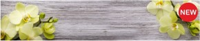 Кухонный фартук КМ 09 Композит глянец (3000) в Южноуральске - yuzhnouralsk.mebel-74.com | фото