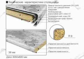 Кухонный фартук со столешницей (А-01) в едином стиле (3050 мм) в Южноуральске - yuzhnouralsk.mebel-74.com | фото
