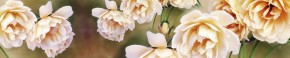 Кухонный фартук Цветы 066 МДФ матовый (3000) Flowers в Южноуральске - yuzhnouralsk.mebel-74.com | фото
