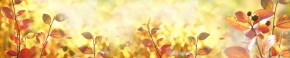 Кухонный фартук Цветы 318 МДФ матовый (3000) Flowers в Южноуральске - yuzhnouralsk.mebel-74.com | фото