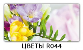 Обеденный раздвижной стол Бриз с фотопечатью Цветы R044 в Южноуральске - yuzhnouralsk.mebel-74.com | фото