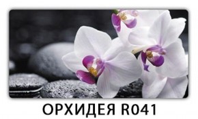 Обеденный стол Паук с фотопечатью узор Плита Р410 в Южноуральске - yuzhnouralsk.mebel-74.com | фото