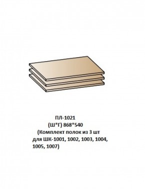 ПЛ-1021 (Комплект полок из 3 шт для ШК-1001, 1002, 1003, 1004, 1005, 1007) в Южноуральске - yuzhnouralsk.mebel-74.com | фото