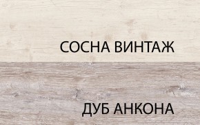 Шкаф 2D1S, MONAKO, цвет Сосна винтаж/дуб анкона в Южноуральске - yuzhnouralsk.mebel-74.com | фото