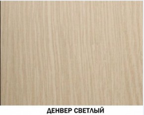 Шкаф для одежды №609 "Инна" Денвер светлый (*без полок) в Южноуральске - yuzhnouralsk.mebel-74.com | фото