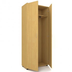 Шкаф для одежды двухстворчатый "Проспект" (Р.Ш-8) в Южноуральске - yuzhnouralsk.mebel-74.com | фото