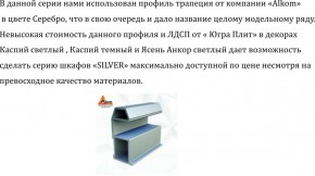 Шкаф-купе 1700 серии SILVER S5+S5+B2+PL3 (2 ящика+2 штанги) профиль «Серебро» в Южноуральске - yuzhnouralsk.mebel-74.com | фото