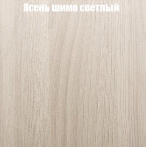 Шкаф-купе «ТАНДЕМ» 2-х дверный в алюминиевом профиле (Дверь К+К) 1400/h2200 в Южноуральске - yuzhnouralsk.mebel-74.com | фото