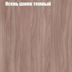 Шкаф-купе «ТАНДЕМ» 2-х дверный в алюминиевом профиле (Дверь К+К) 1400/h2200 в Южноуральске - yuzhnouralsk.mebel-74.com | фото