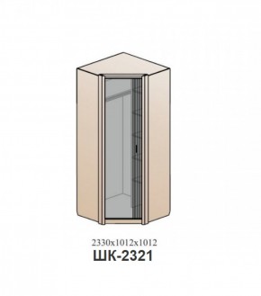 Шкаф ШЕР Дуб серый/айронвуд серебро (ШК-2321) в Южноуральске - yuzhnouralsk.mebel-74.com | фото