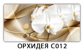 Стол раздвижной Трилогия с фотопечатью Доска D112 в Южноуральске - yuzhnouralsk.mebel-74.com | фото