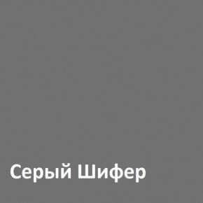 Юнона Шкаф торцевой 13.221 в Южноуральске - yuzhnouralsk.mebel-74.com | фото